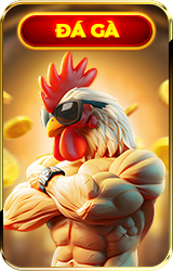 Đá gà 88aa